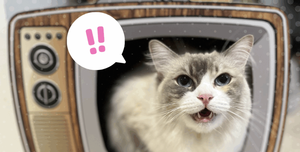 Tiedote Konekoconista Tiedote Konekoconista